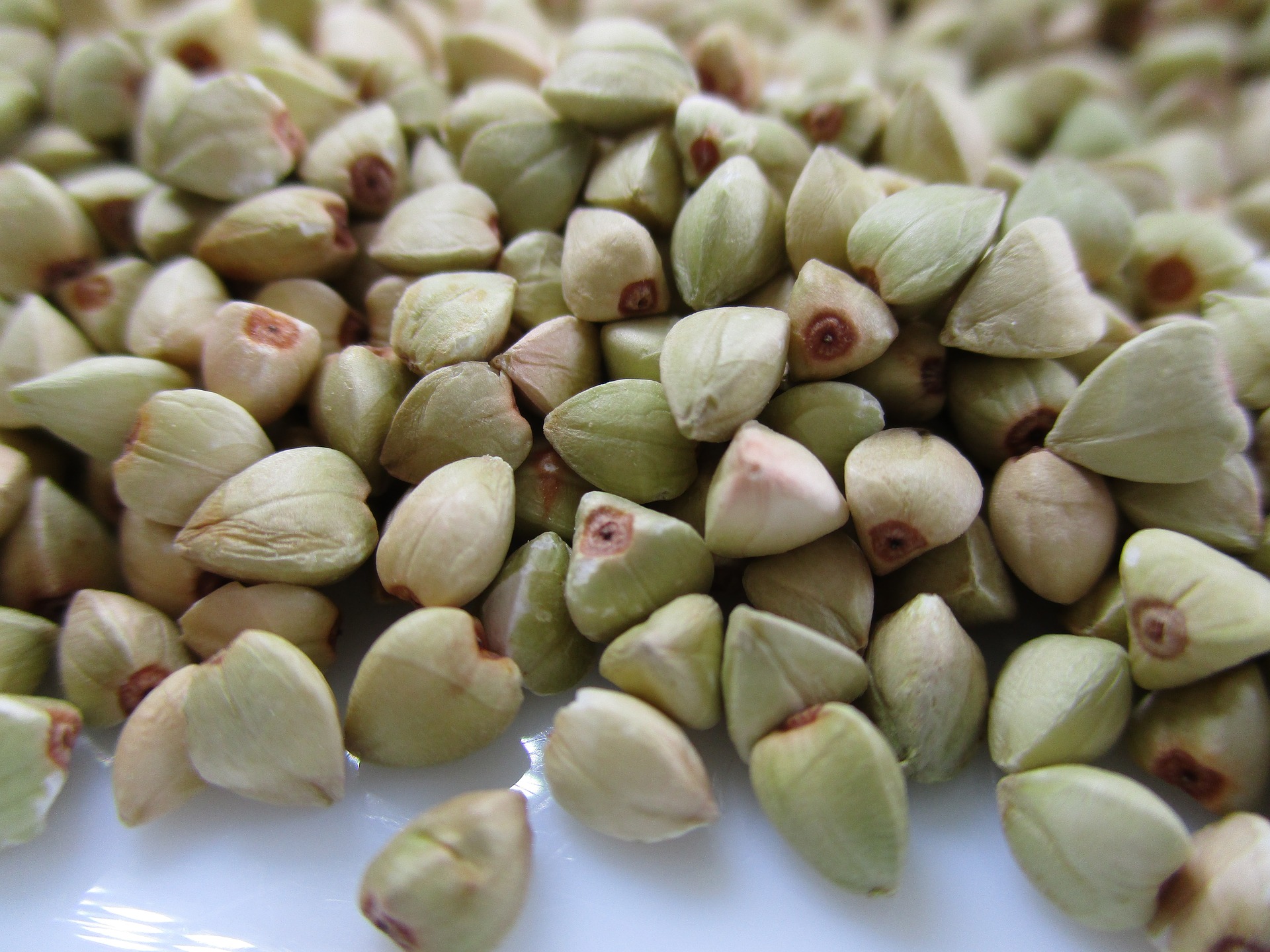 Buckwheat ingredients Trouw B.V. Ingredients Network